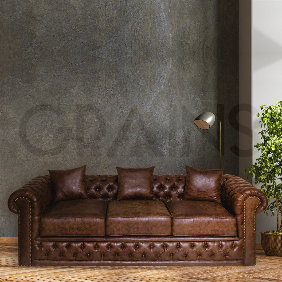 Autografo Sofa